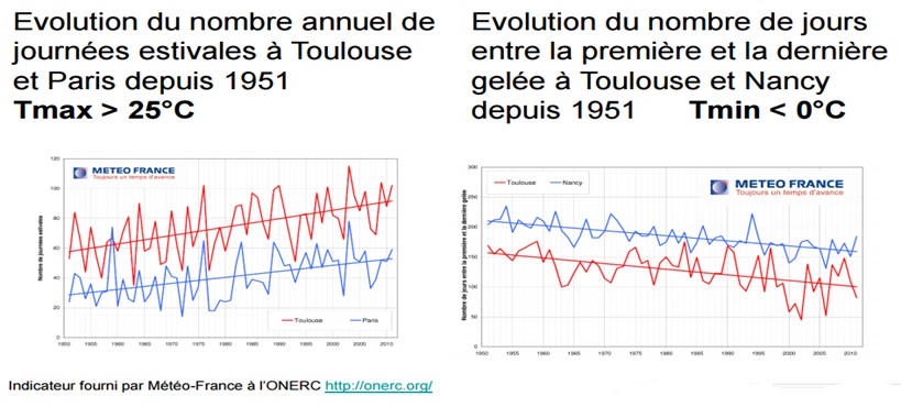 gelées/été