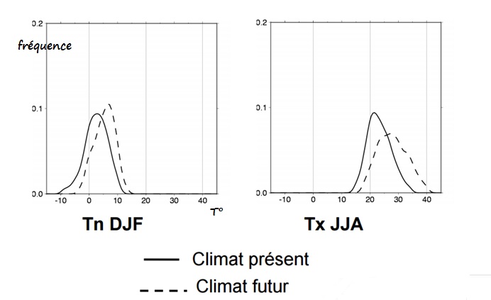 distribution T